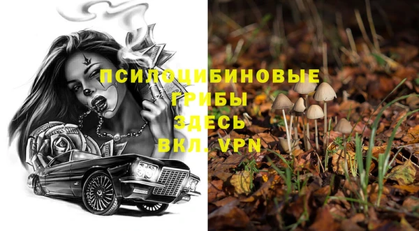 крисы Ладушкин